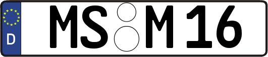 MS-M16