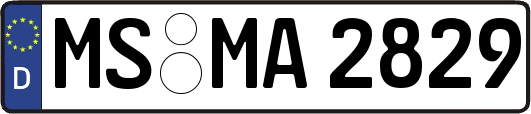 MS-MA2829