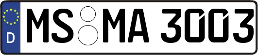 MS-MA3003