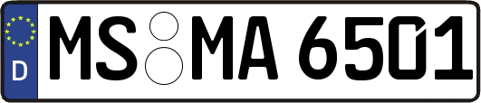 MS-MA6501