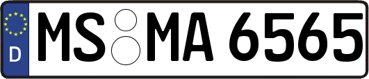 MS-MA6565