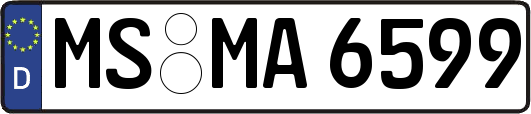 MS-MA6599