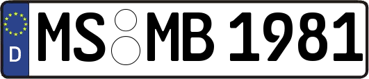 MS-MB1981