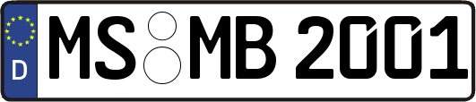 MS-MB2001