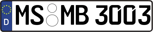 MS-MB3003