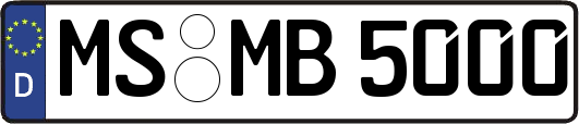 MS-MB5000