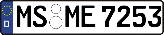 MS-ME7253