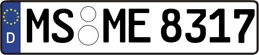MS-ME8317