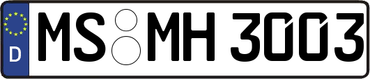 MS-MH3003