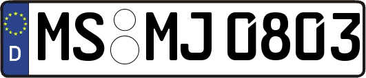MS-MJ0803