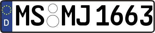 MS-MJ1663