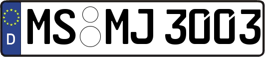 MS-MJ3003