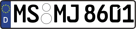 MS-MJ8601