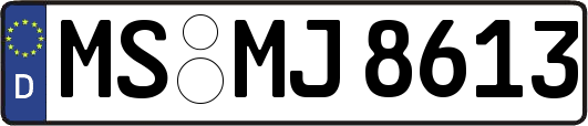 MS-MJ8613