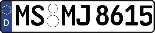 MS-MJ8615
