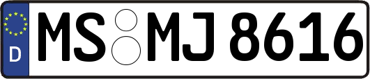 MS-MJ8616