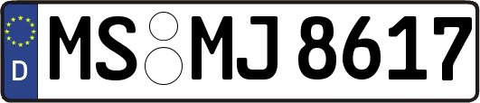 MS-MJ8617