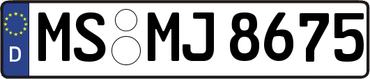 MS-MJ8675
