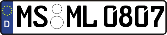 MS-ML0807