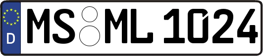 MS-ML1024