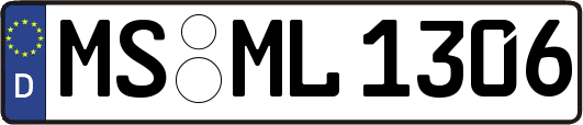 MS-ML1306