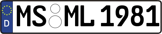 MS-ML1981