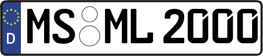 MS-ML2000