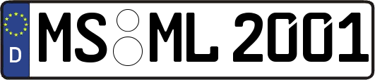 MS-ML2001