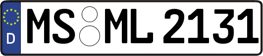 MS-ML2131