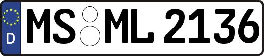 MS-ML2136