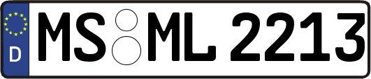 MS-ML2213