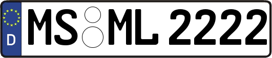 MS-ML2222