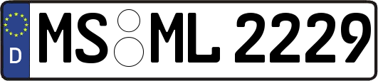MS-ML2229