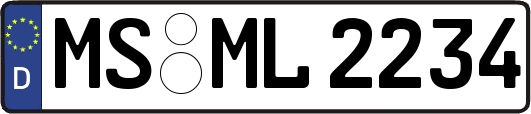 MS-ML2234