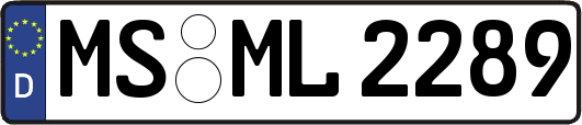 MS-ML2289
