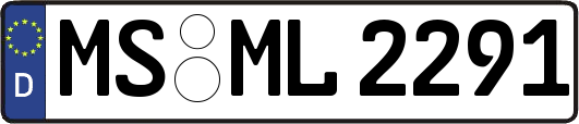 MS-ML2291