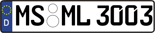 MS-ML3003