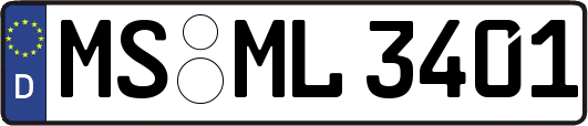 MS-ML3401
