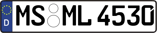MS-ML4530