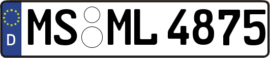 MS-ML4875