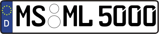 MS-ML5000