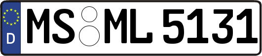 MS-ML5131