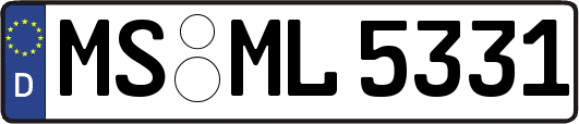 MS-ML5331