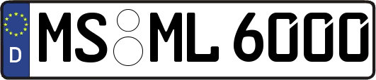 MS-ML6000