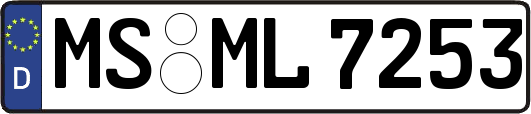 MS-ML7253