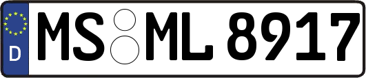 MS-ML8917