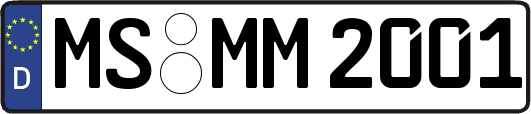 MS-MM2001
