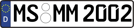 MS-MM2002