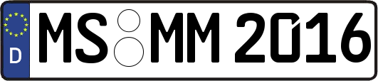 MS-MM2016