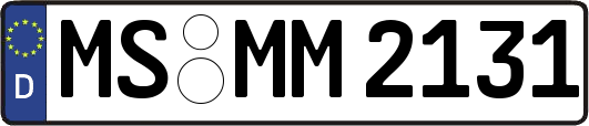 MS-MM2131